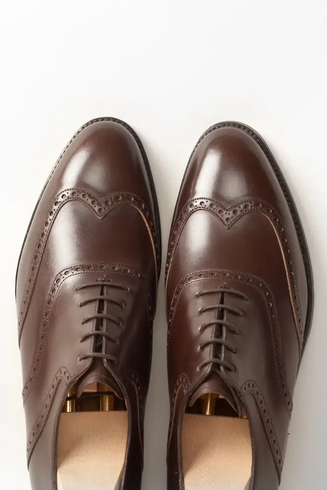 J.FitzPatrick Phinney chocolate brown