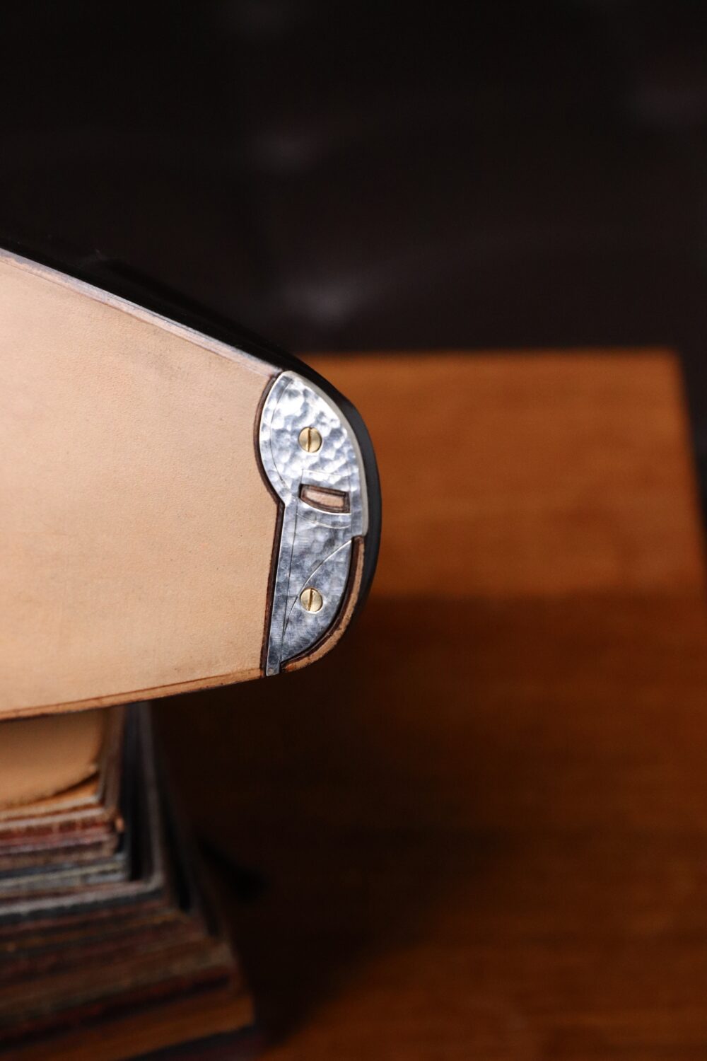 Close-up of a leather-bound book's edge featuring a silver metal corner and brass fasteners.
