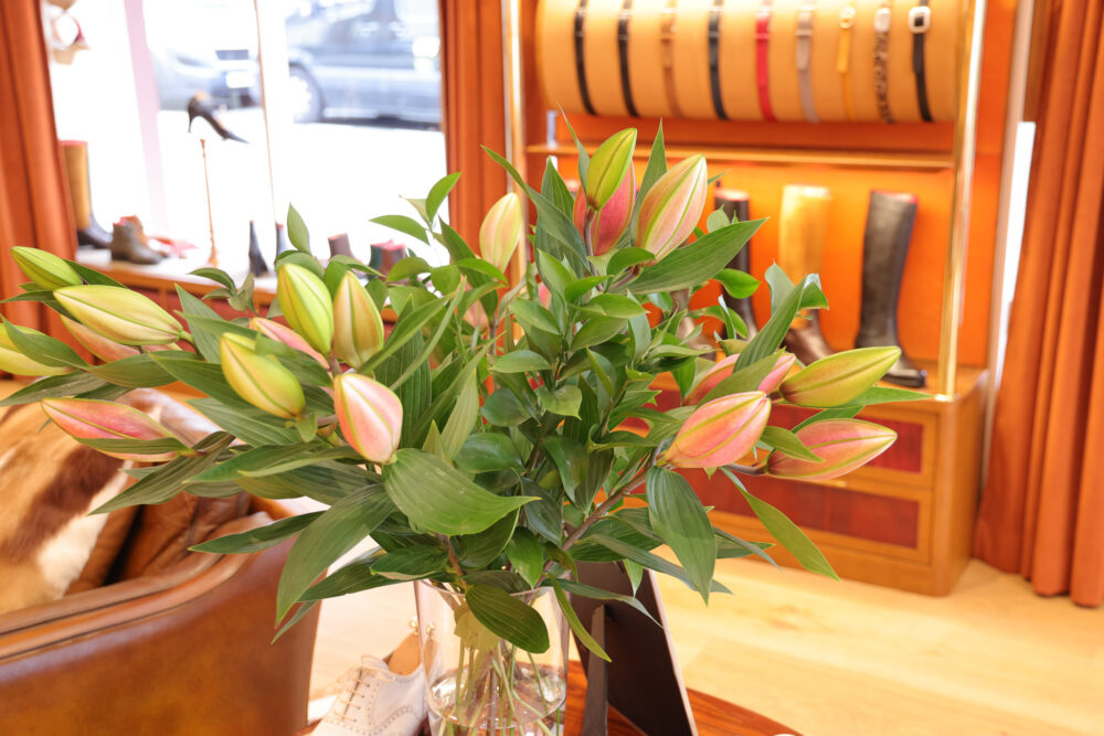 A bouquet of pink and green lily buds with green leaves in a clear vase.