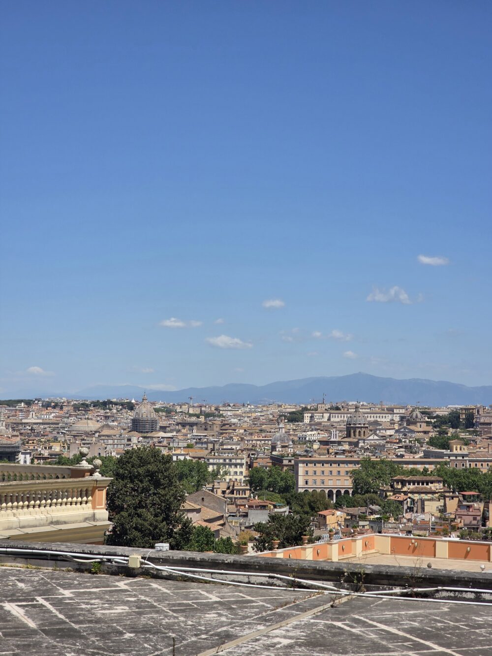 A panoramic view of Rome featuring a clear blue sky and various historic buildings with domes and greenery.