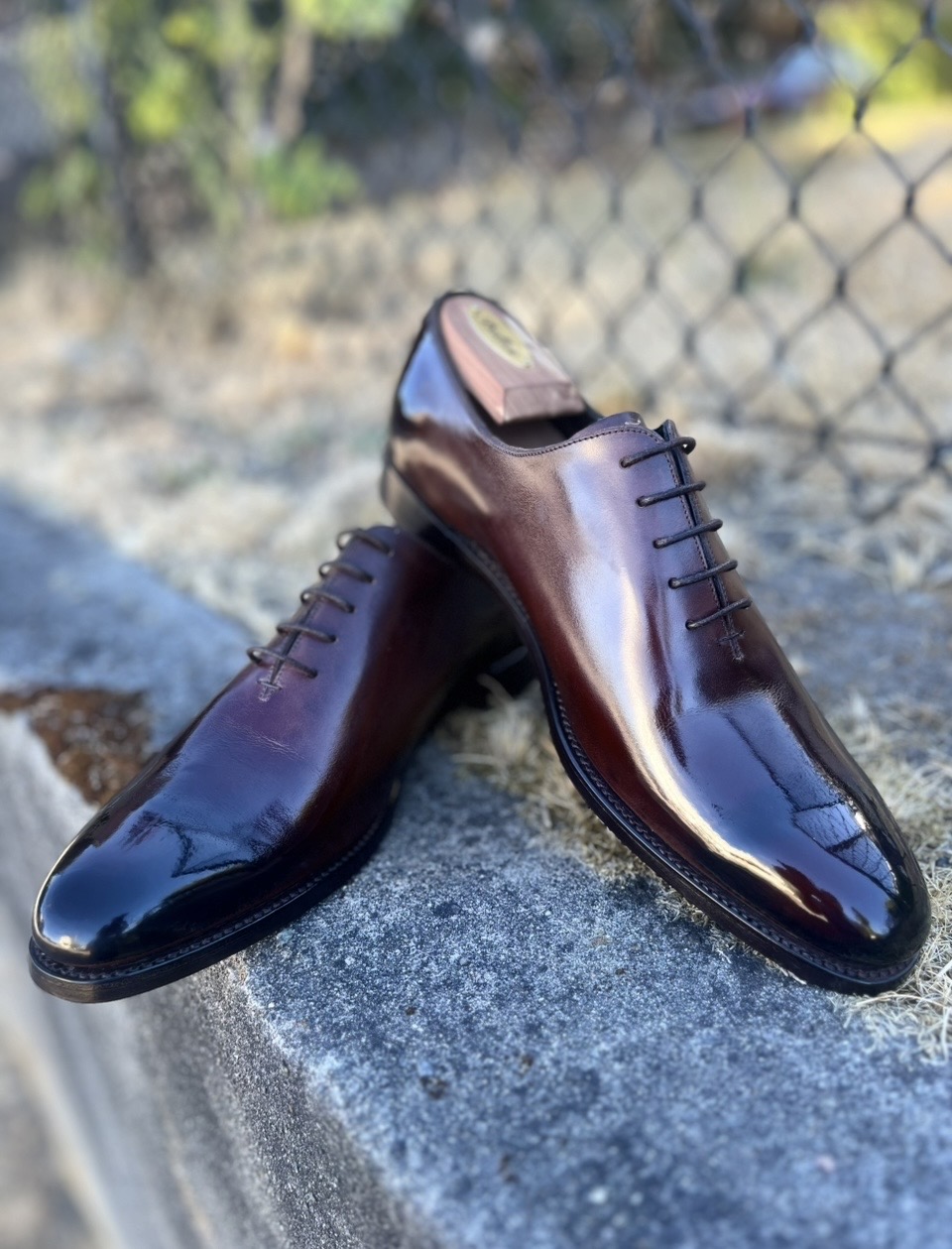 A pair of polished brown leather dress shoes with laces.